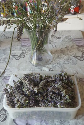  Getrockneter stark duftender  Frischer Lavendel Handvoll 15 Topf Pourri Seife Herstellung  