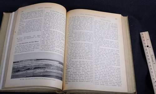(2) 1916 MacMillian KOMPLETTE GEOGRAPHIE & TIER HAUSTIERE illustrierte BÜCHER - Bild 5 von 12
