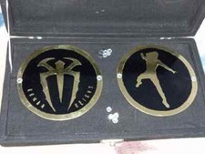 WWE Roman Reigns Authentic Championship Replica Sideplates Tribal Chief New