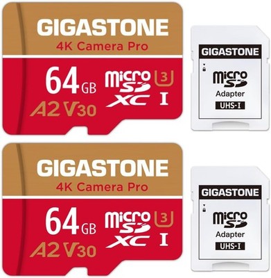 【5 Jahre Datenrettung】GIGASTONE 64GB Speicherkarte 2er Pack 64GB Kamera Pro 2PK 