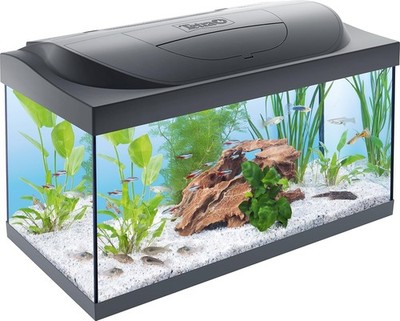Tetra Starter Line Aquarium Komplettset LED Filter Heizer Futter 54L