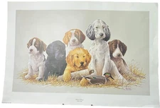 James H Killen "School Daze" Signed Art Print Southeastern Wildlife Expo READ