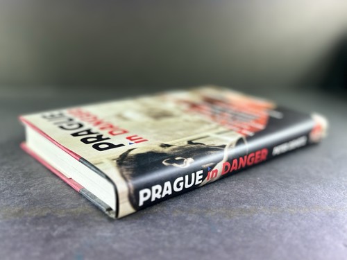 Prague in Danger by Peter Demetz 2008 First Edition WWII German Occupation Histo - Picture 8 of 11