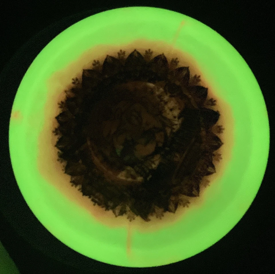 New! Innova Glow Halo Leopard3 Ohn Scoggins Tour Series 173-5g Leopard 3 - Image 4 of 4