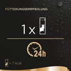 Bild 5 von 8