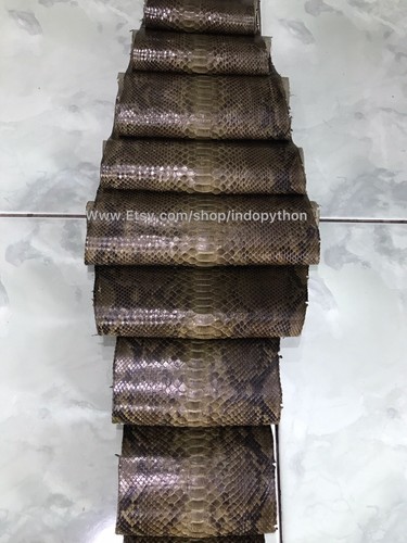 Genuine Python Leather, Exotic Snake Skin, Green SnakeSkin, Green Python Leather - Picture 5 of 8