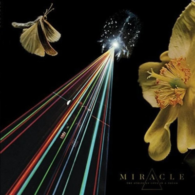 Miracle - The Strife Of Love In A Dream NEW Sealed Vinyl LP Album