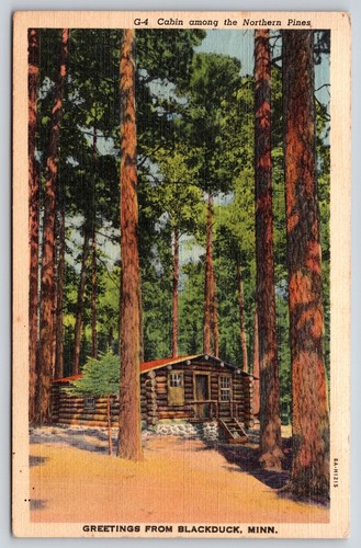Greetings From Blackduck MN~Cabin Among Northern Pines~PM 1941~Vintage Linen PC