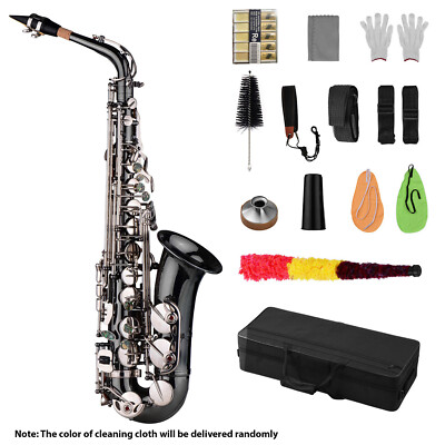 Professional Eb E-flat Saxophone Brass Black Nickel Plating Alto Sax W/ Case Kit