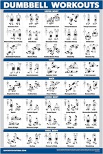 Palace Learning Dumbbell Workout Exercise Poster - Free Weight Body Laminated