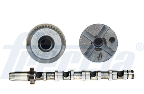 Freccia Nockenwelle CM05-2190 FüR Superb A6 A4 3B6 VW Passat 3U4 B6 BDG C5 Audi-image