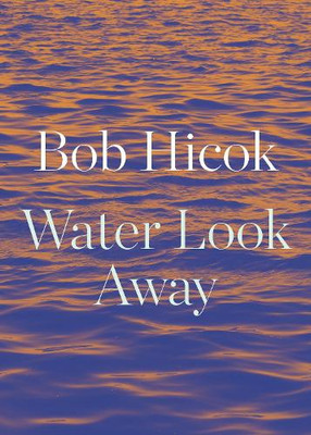 Bob Hicok Water Look Away (Paperback)