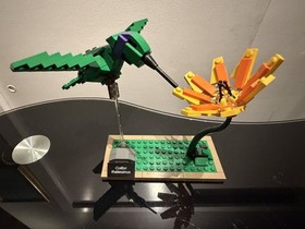 🐦 LEGO Ideas Birds 21301 Complete Robin Blue Jay Hummingbird Instructions 🐦 