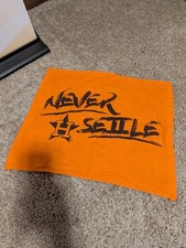 Houston Astros Rally Towel