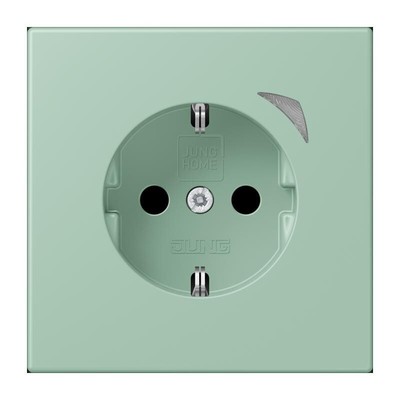Jung SCHUKO Steckdose BT LC 1521 SE 217 IP20 Abdeckung Stecker Steckdosen