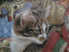Bild 3 von 11