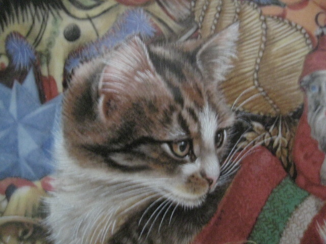 Picture 3 of 11