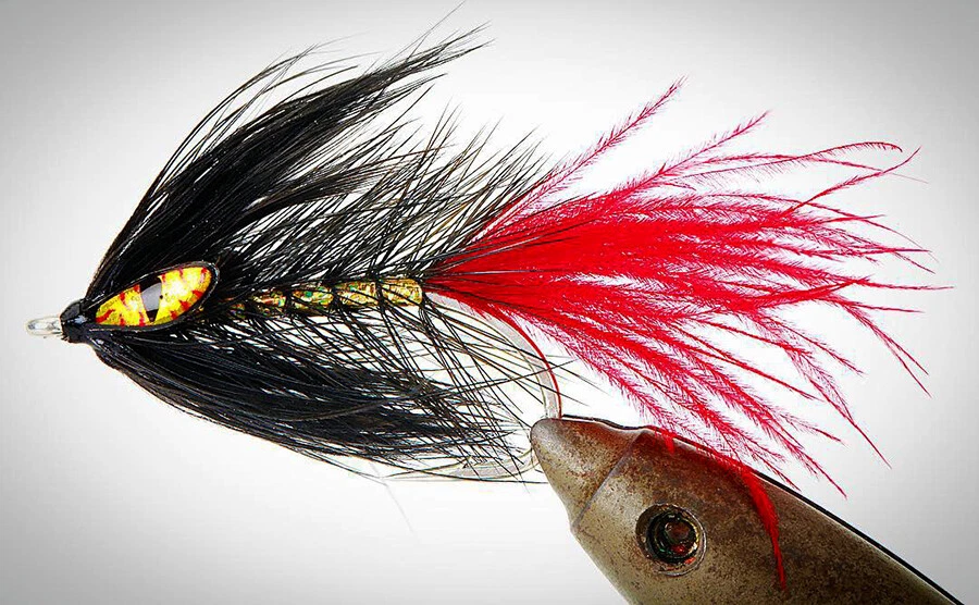 Pro Sportfisher ATTITUDE EYES XL 4 Farben 20 Augen riesig ATTITUDE EYES XL - Bild 3 von 4