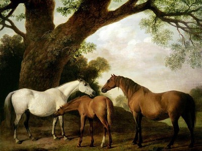 LMOP1132L Handmade Painted Three Horse Under The Tree Oil Painting Art On Canvas