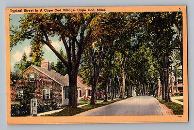 Cape Cod Massachusetts MA Typical Village Street View Postcard 1930-45