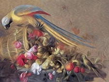 PARROT AND A PARAKEET by J. Merck Tile Mural Kitchen Backsplash Ceramic 10x8