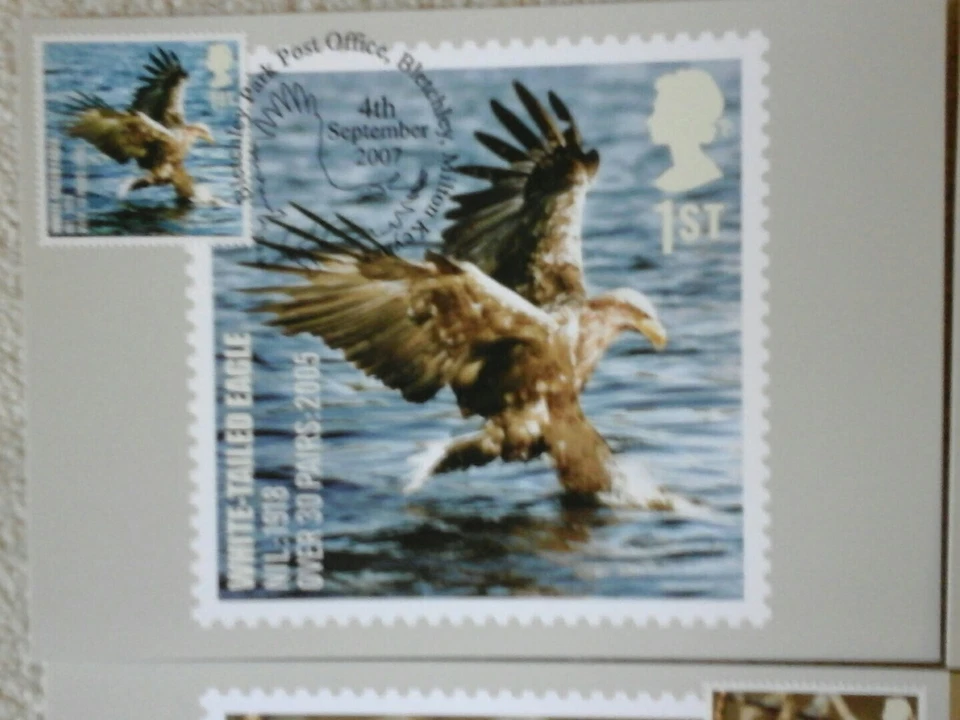2007 BIRDS PHQ 302 -10 STAMP CARDS FDI FRONT PICT H/S DESCRIBED BELOW  - Image 2 of 4