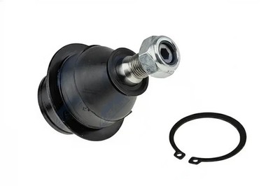 Querlenkerstift Vorderachse unten ZSD-FR-006 NTY für FORD USA FORD