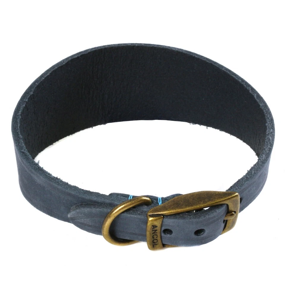 COLLAR WHIPPET DE CUERO AZUL Lebrel Lurcher Galgo Banda Cuello Ancho HECHO EN REINO UNIDO Foto 3 de 4