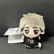 Haikyuu  Anime Cute Doll Pendant Cosplay Student Toy Original Plush Doll Gift
