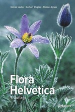 Flora Helvetica - Illustrierte Flora der Schweiz Konrad Lauber