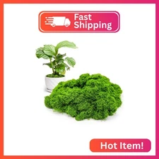 Aspamms Fake Green Moss for Potted Plants Indoor, 5.3oz Artificial Moss for Craf