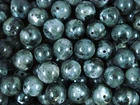 Labradorite Larvikite 10mm Round Beads 20pc DIY Jewellery Earrings Bracelets