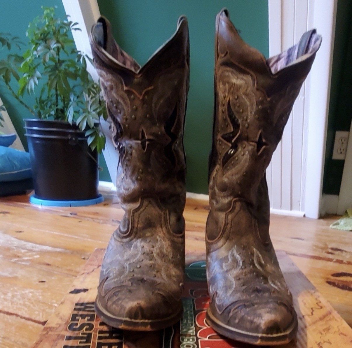 Laredo Western patterned black brown cutouts boho… - image 1