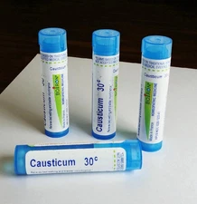 4 Boiron Causticum 30C Bladder Incontinence Bed-Wetting 320 Pellets  Exp 11/29