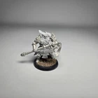 Exemplar Warder [x1] Protectorate of Menoth [Warmachine] Assembled