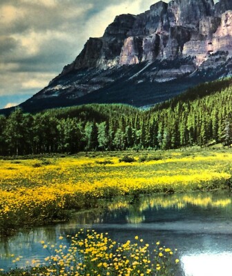Mount Eisenhower Banff National Park Alberta Canada Postcard Vintage Photo 