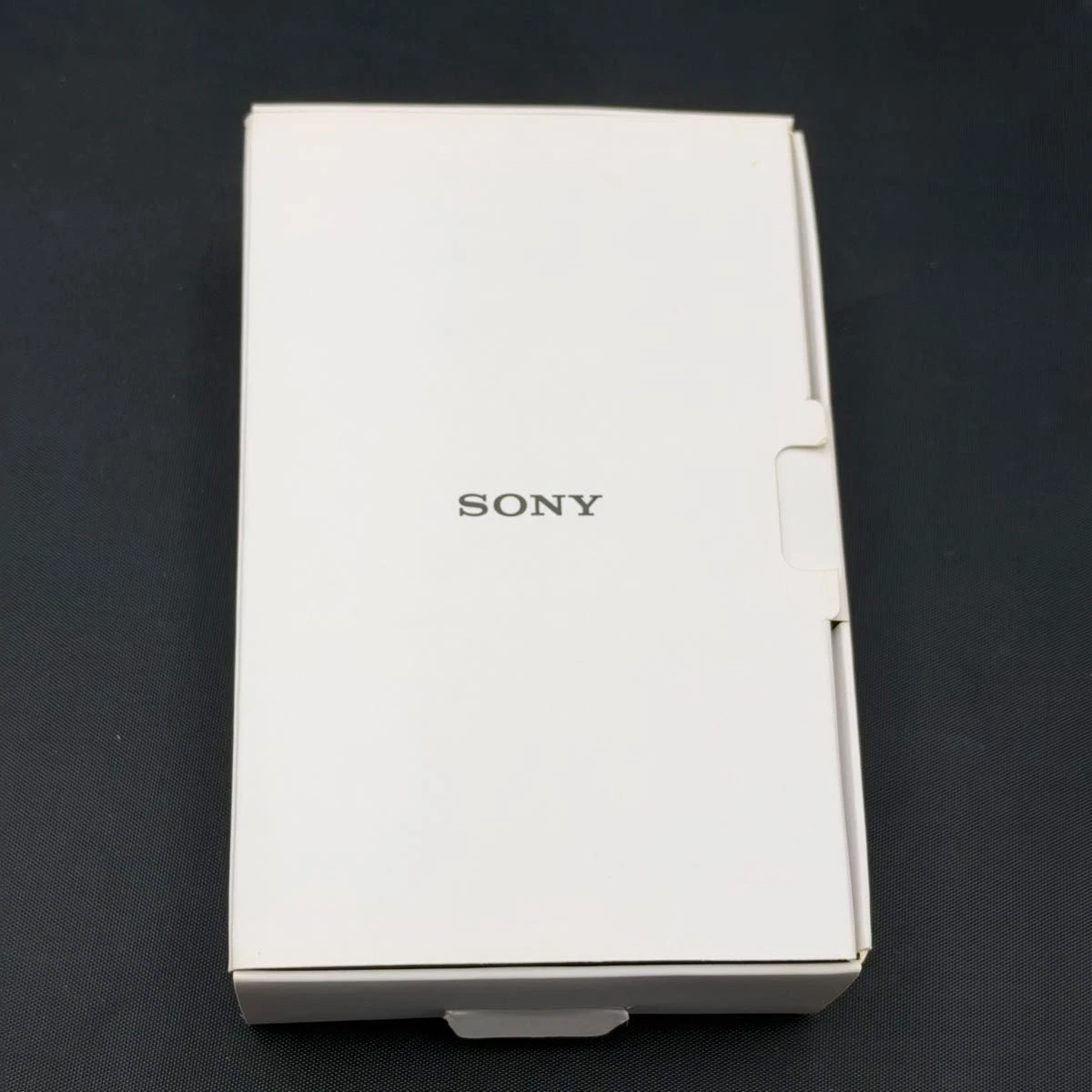 Sony Blue Walkman Digital Audio Player NW-A55 Hi-Res Instructions en anglais