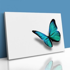 Turquoise Butterfly Nature Canvas Framed Print Picture Wall Art