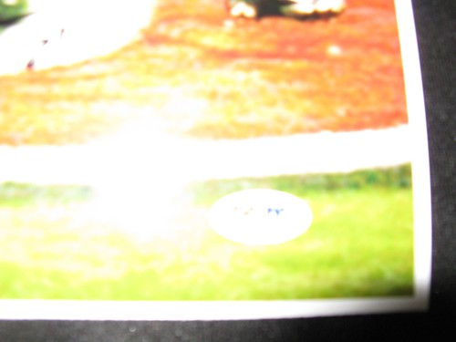 Frank Gore San Francisco 49ers Signed 16x20 Photo PSA - Picture 3 of 3