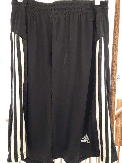 adidas gym shorts