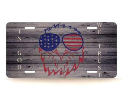 Patriotic In God We Trust American Flag Eagle Novelty License Plate