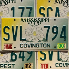 Mississippi Large Magnolia Flower Yellow Green Graphic License Plate Tags