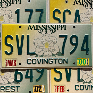 Mississippi Large Magnolia Flower Yellow Green Graphic License Plate Tags