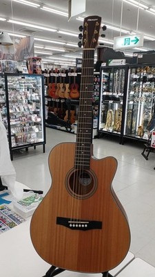 Morris Akustikgitarre SA-40 gebraucht