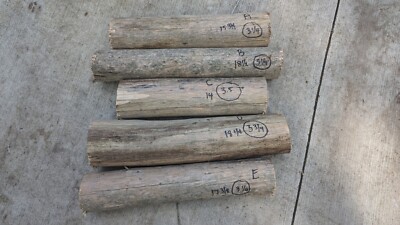 Eastern Red Cedar Logs , Perfect for Wood Carving Or Turning Craft Wood