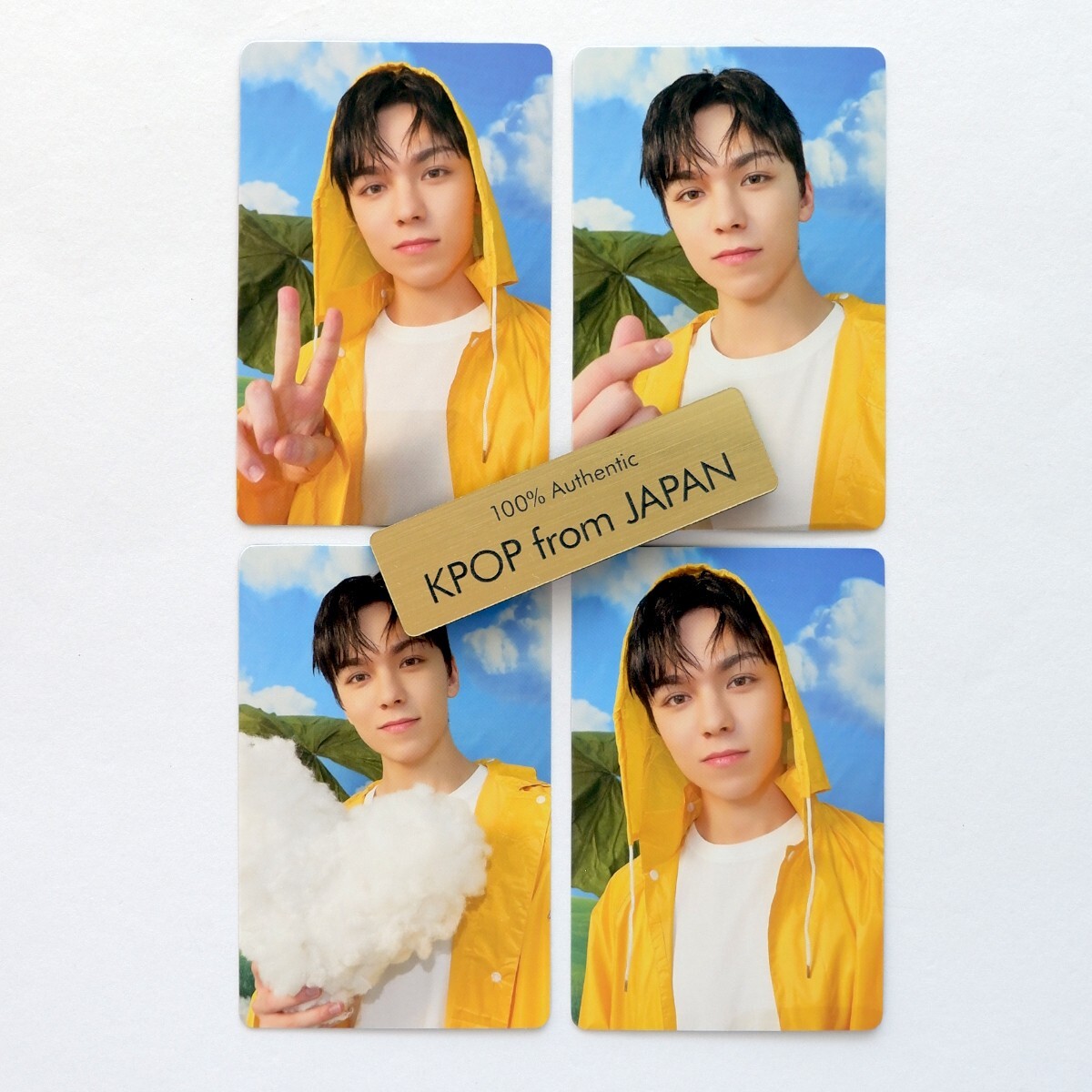 VERNON SEVENTEEN SEVENTEENTH HEAVEN CARAT ver. Complete VERNON SEVENTEEN SEVENTEENTH HEAVEN CARAT ver. Complete
