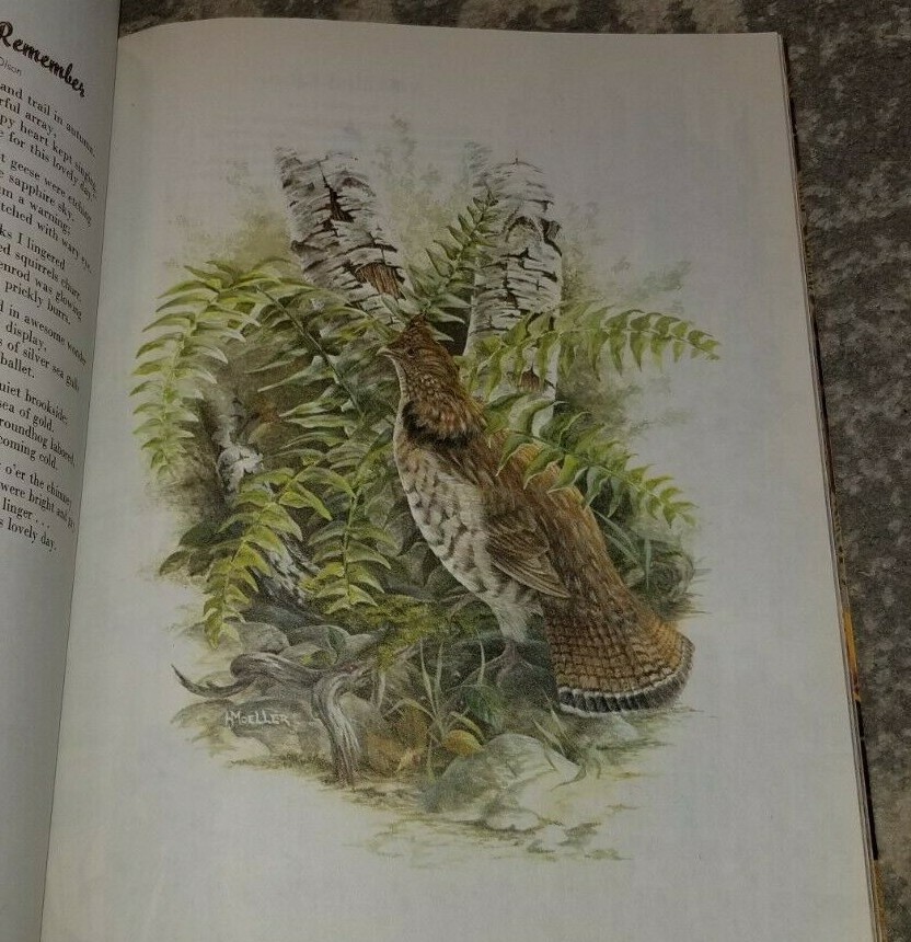 Picture 7 of 8