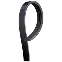 Gates 4PK913 Keilrippenriemen