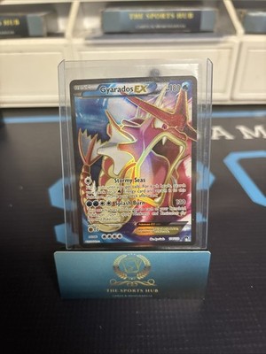 Pokémon Gyarados EX TCG Full Art Holo Ultra Rare Card 114/122