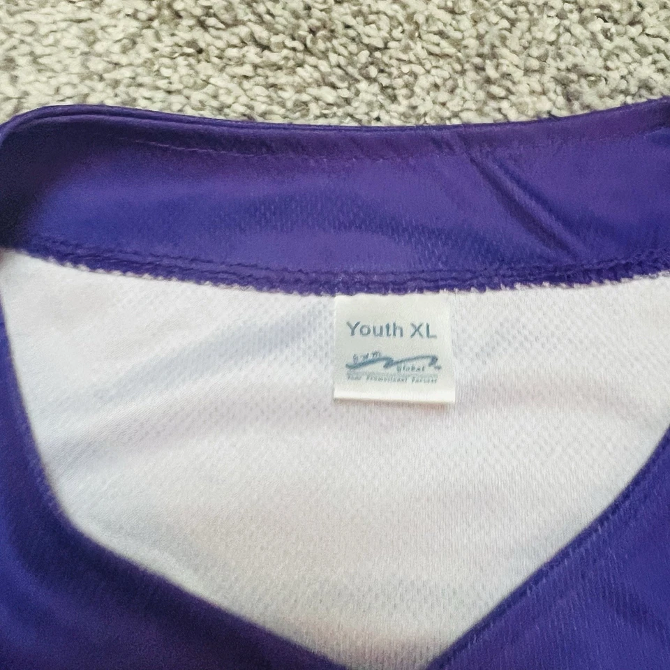 Camiseta deportiva MILB Hartford Yard Goats Thunder Chickens #25 púrpura alternativa juvenil XL Foto 3 de 4